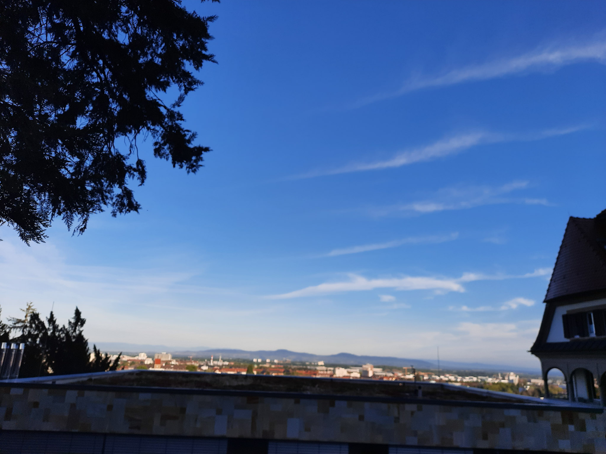 20220814074953 20220814 074952